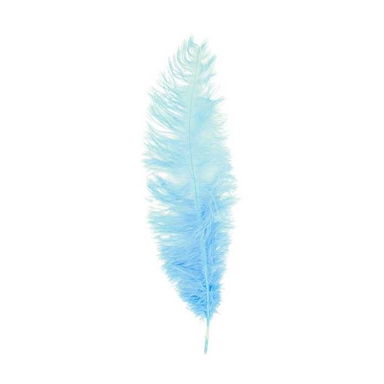 Veer groot licht blauw