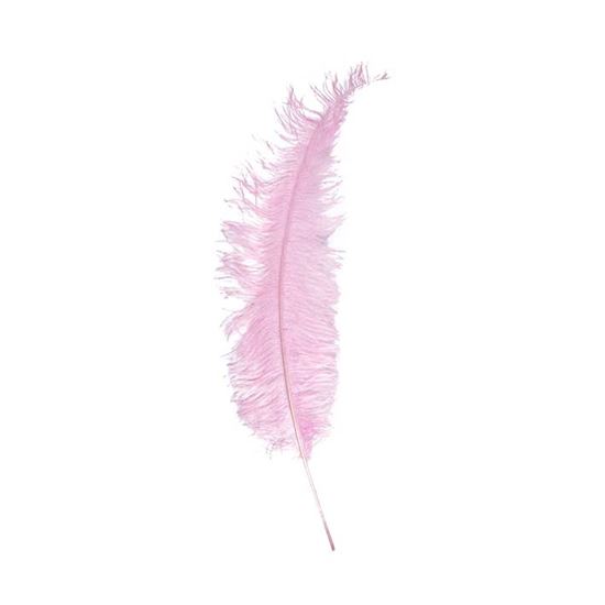 Veer groot licht roze