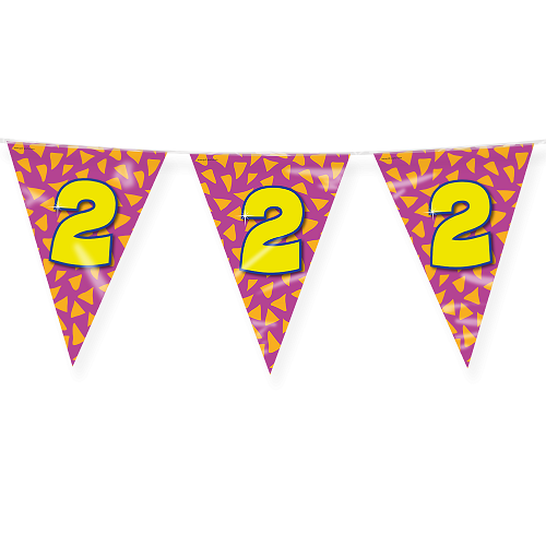 Vlaggenlijn 2 jaar 10m