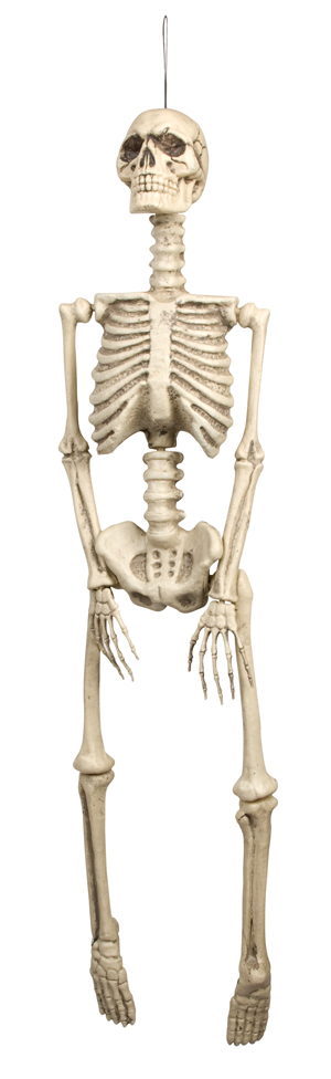 Skelet plastic 92cm