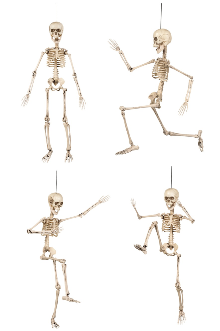 Halloween hangdecoratie beweegbaar skelet 50cm