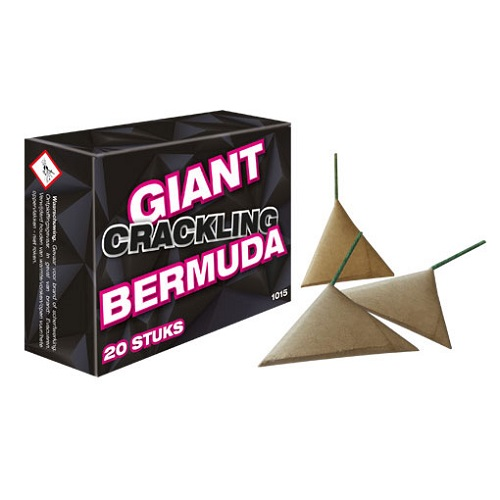 Giant crackling Bermuda Cat F1 20st ALLEEN AFHALEN IN DE WINKEL