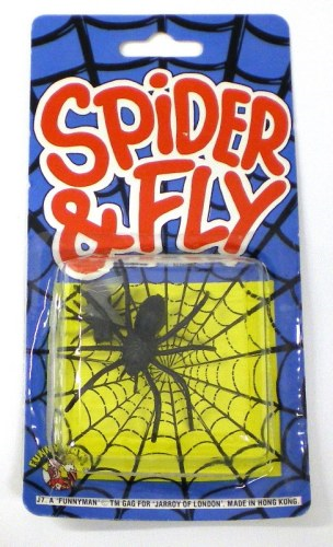 Spider en fly