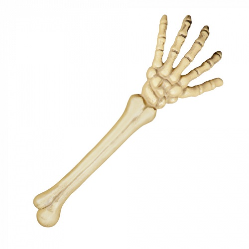 Skeletarm 46cm