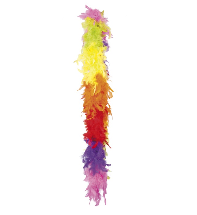 Boa Regenboog kleuren 180cm 65gr