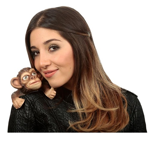 Buddy monkey