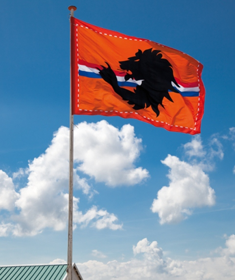 Vlag oranje Mega XL 200 x 300 cm