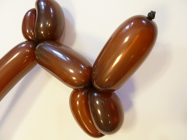 Modelleerballonnen 260Q cocoa brown standaard