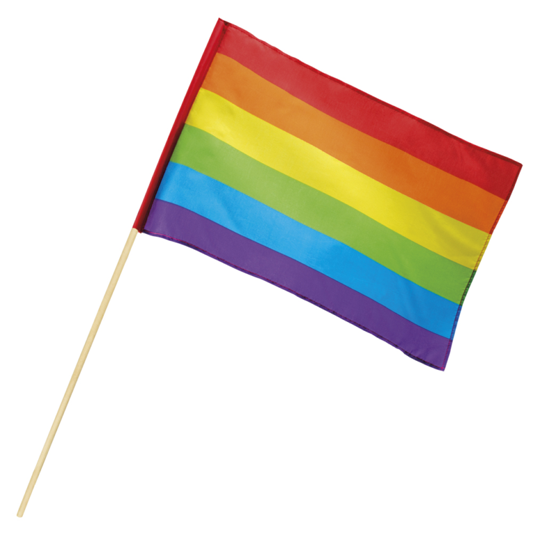 Zwaaivlag regenboog