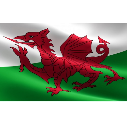 Vlag Wales 90x150cm