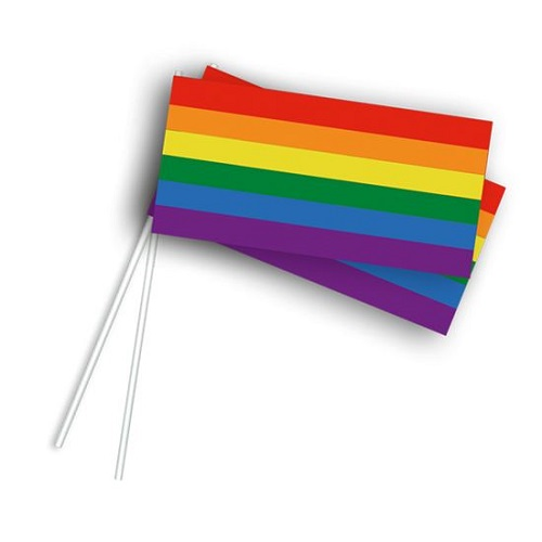 Zwaaivlaggetje regenboog per stuk