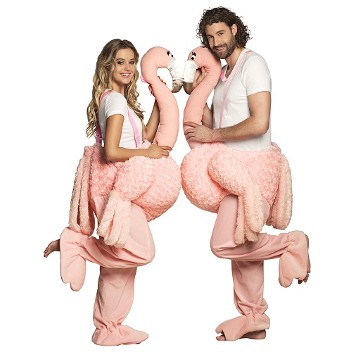 Kostuum op een flamingo