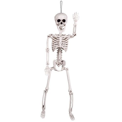 Skelet 60cm beweegbaar