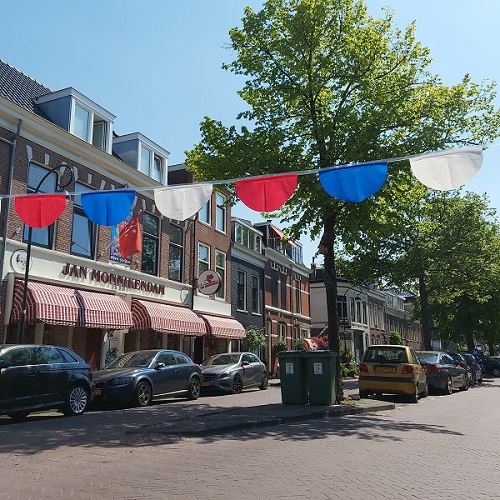 Vlaggenlijn bol rood-wit-blauw 15 meter