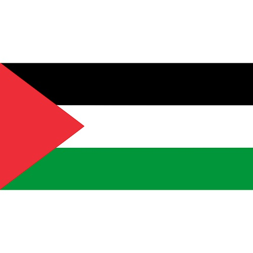 Vlag Palestina 90x150cm
