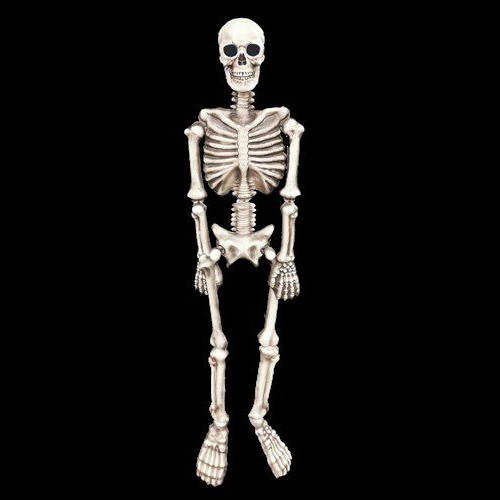 Halloween decoratie skelet foam 160cm