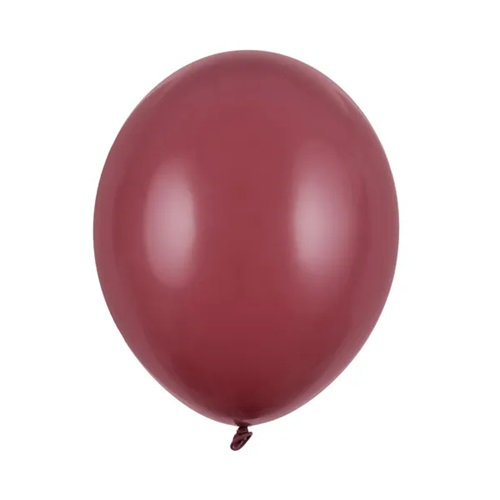 Ballonnen prune standaard 10 stuks