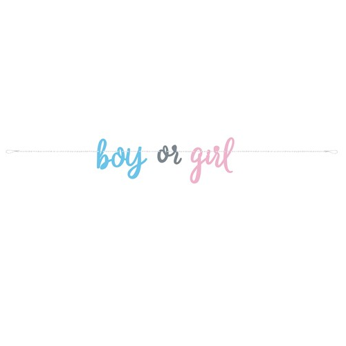 Letterslinger gender reveal Boy or Girl