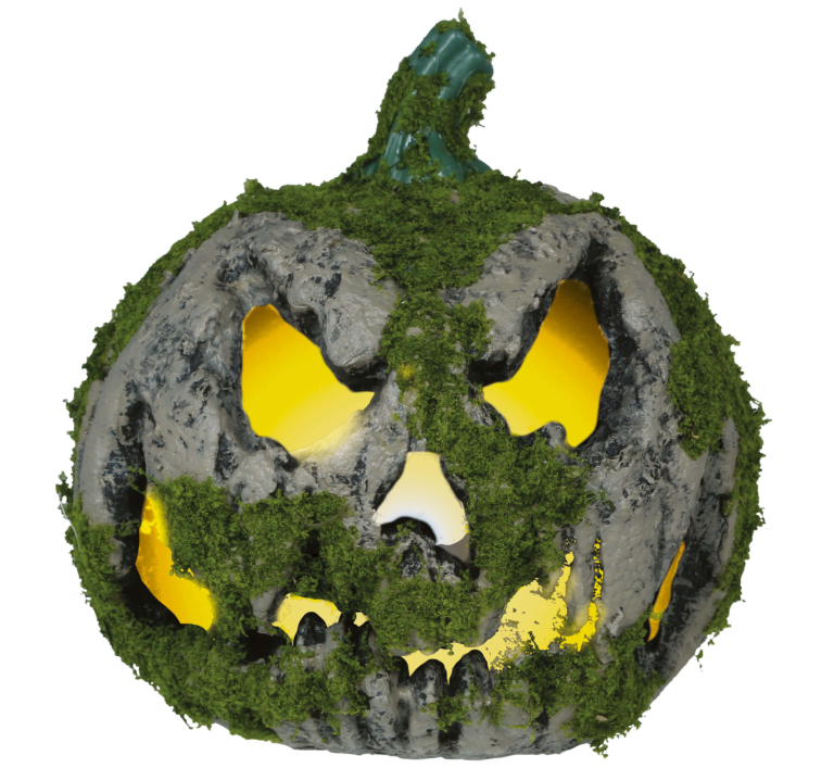 Pompoen met licht mossy 20cm