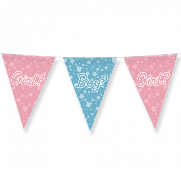 Vlaggenlijn gender reveal 10m