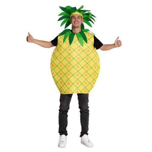 Ananas kostuum OS