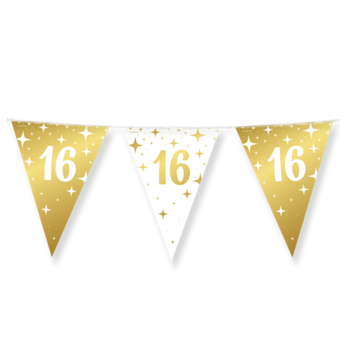 Vlaggenlijn 16 jaar Fancy party 10m