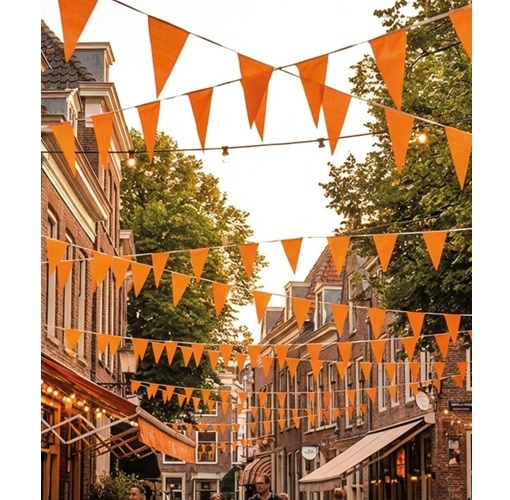 Vlaggenlijn oranje 50 meter