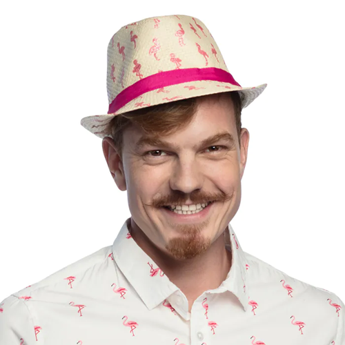 Hoed Sparkling Flamingos