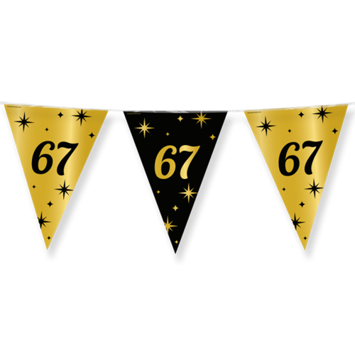 Vlaggenlijn 67 jaar classy party 10m