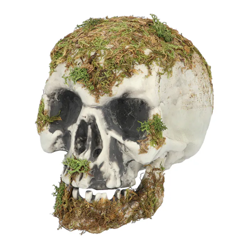 Schedel Swamp 19cm