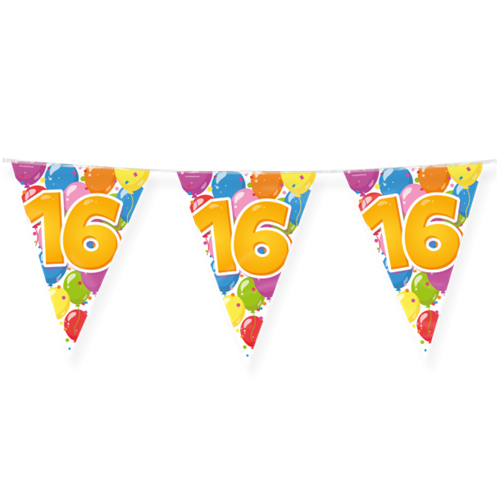 Vlaggenlijn 16 jaar Fun balloons 10m