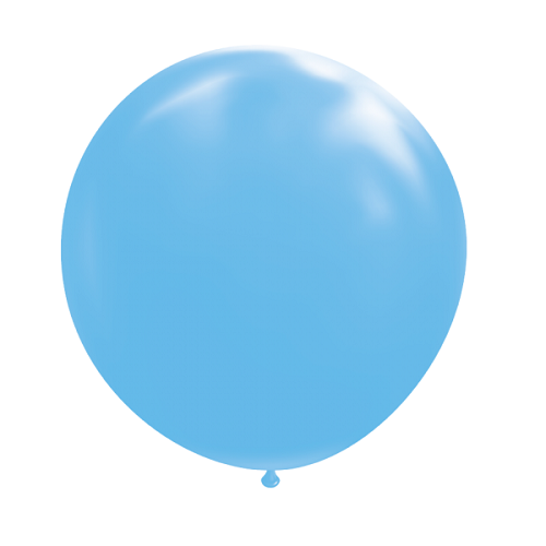 Plunderen Bewolkt Behandeling Ballon rond 50cm baby blauw per stuk