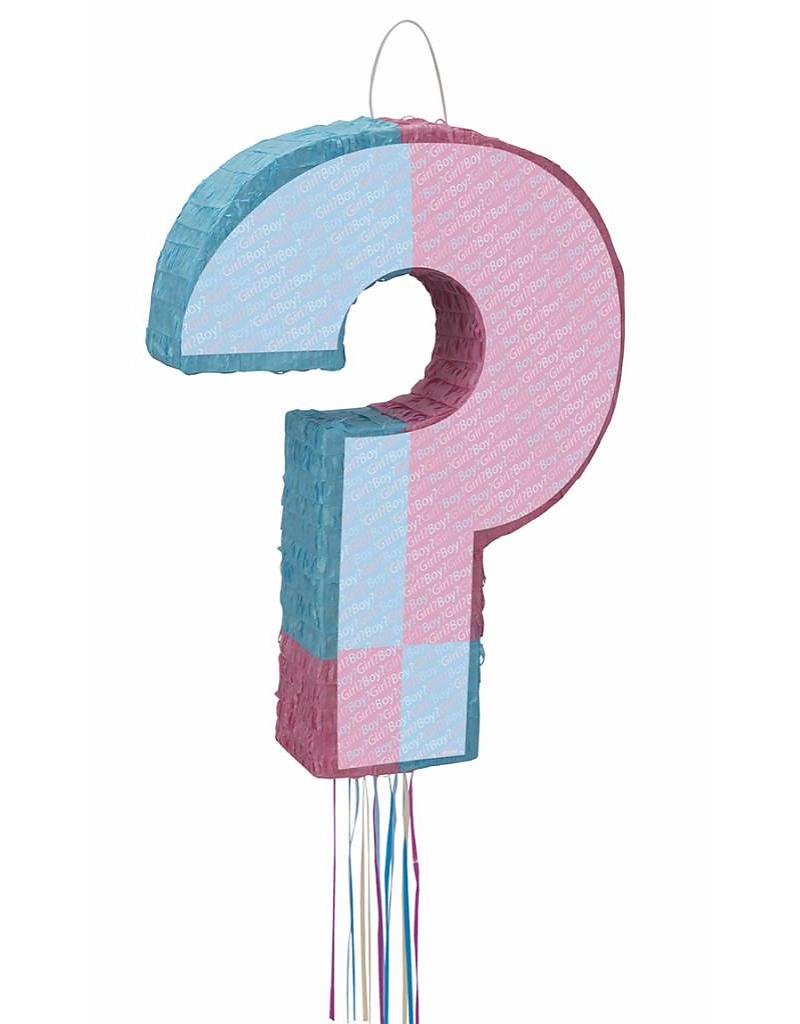 Gender reveal pinata boy or girl