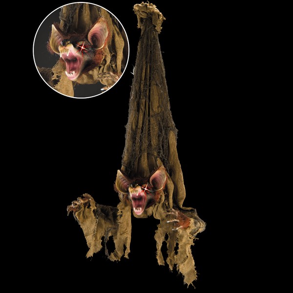 Hanging bat met geluid