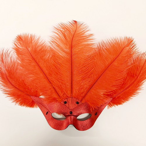 Oogmasker vogelmodel met verentooi rood