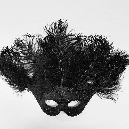Oogmasker vogelmodel met verentooi zwart