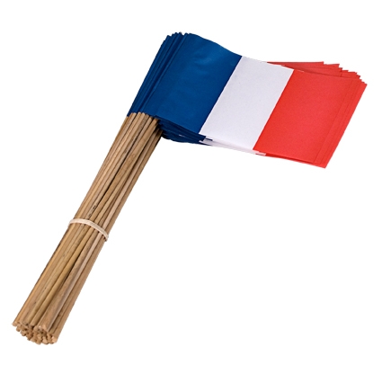 Vlag Frankrijk 30 cm met steel