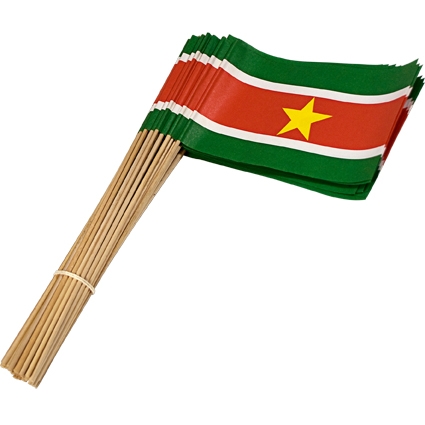 Vlag Suriname 30 cm met steel