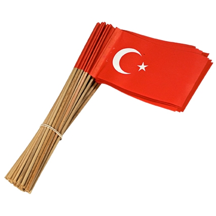 Vlag Turkije 30cm met steel